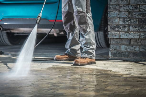 Best Gutter Cleaning  in Collinwood, TN
